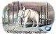 Watercolour with pen and ink of the 'Lord White Elephant', a rare and auspicious white elephant kept by the King at Amarapura. From: 'A Series of Views in Burmah taken during Major Phayre’s Mission to the Court of Ava in 1855'.